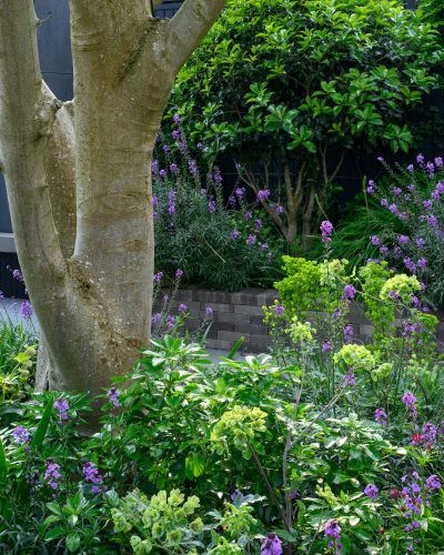 JI_200524_2DenmarkAvenue_044